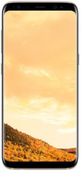 Samsung Galaxy S8 64Gb Gold (SM-G950F)